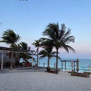https://punta-blanca-eco-luxury-beach-house.quintano-roohotels.com